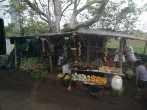 A fruit stand on the side of the road
