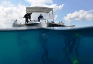 Rich Coast Diving's Tahonga