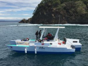 Rich Coast's Tahonga