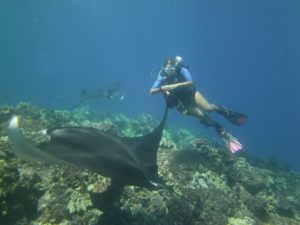 Diving with Manta Rays on the Big Island of Hawaii