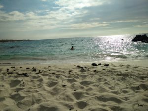 A beach just outside Kona....