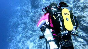 Tech diving in Safaga