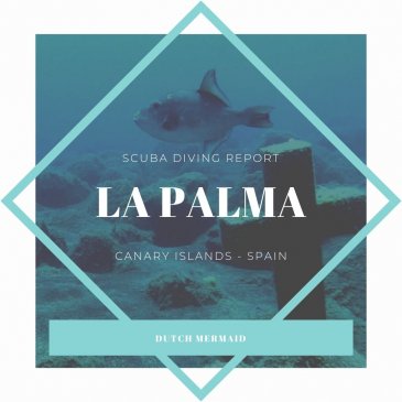 Scuba Diving Report La Palma